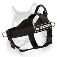 Search & Rescue Nylon Harness for Siberian Husky