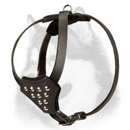 Studded Leather Siberian Husky Puppy Harness for Walking