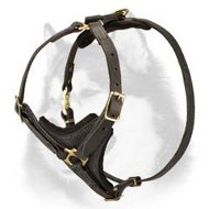 Walking Leather Harness for Siberian Husky