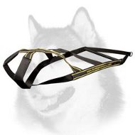 Siberian Husky Weight Pulling Sport Harness