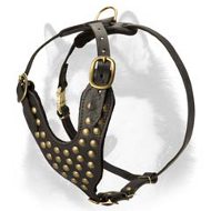 Siberian Husky Studded Walking Handmade Harness
