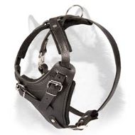 Super Quality Leather Harness for Siberian Husky