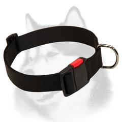 All weather nylon collar for Husky