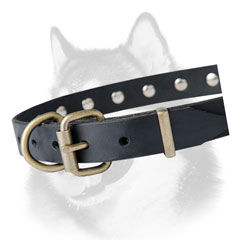 Steel old brass plated hardware of leather Siberian Husky collar for leash attachment