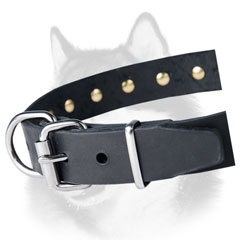 Nickel plated buckle of leather Siberian Husky collar