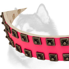 Square old nickel studs of Siberian Husky collar