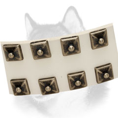 Close-up of studs