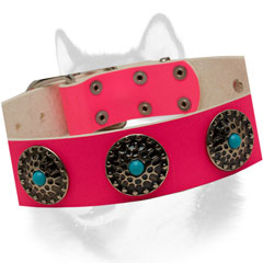 Conchos with Blue Stones of Pink Siberian Husky collar