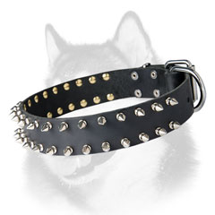 Spiked leather dog collar for Siberian Husky