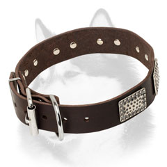 Leather dog collar for Siberian Husky