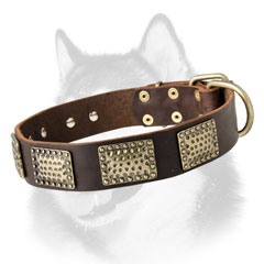 Leather dog collar for Siberian Husky