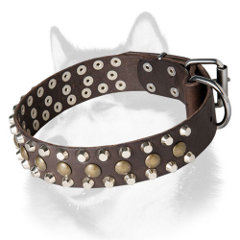 Exclusive leather Siberian Husky collar with pyramids and studs