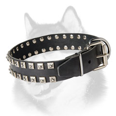 Leather dog collar for Siberian Husky with nickel plated hardware