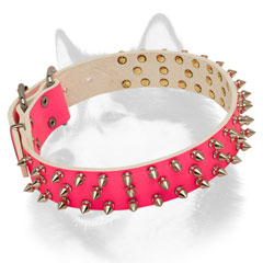 Walking leather dog collar for Siberian Husky