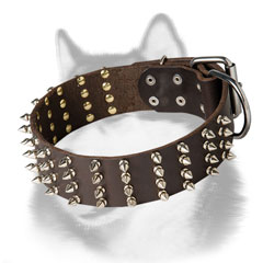 Spiked leather dog collar for Siberian Husky