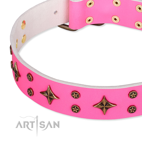 Full grain natural leather dog collar with significant embellishments
