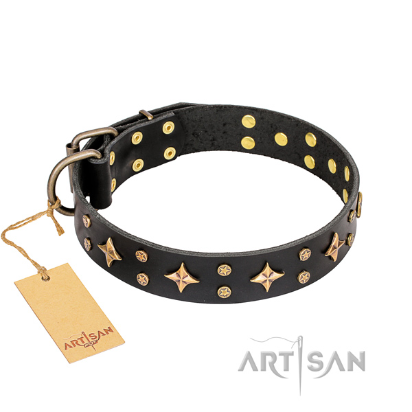 Incredible natural genuine leather dog collar for daily walking
