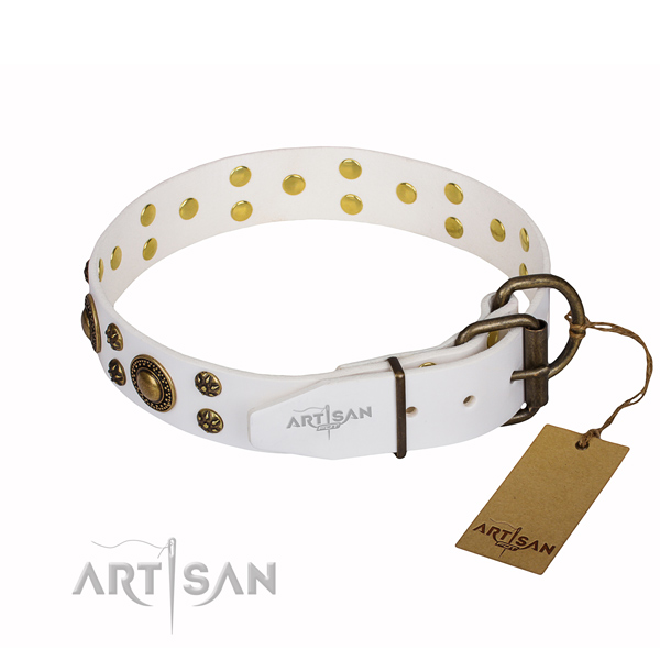 Trendy genuine leather dog collar for everyday walking