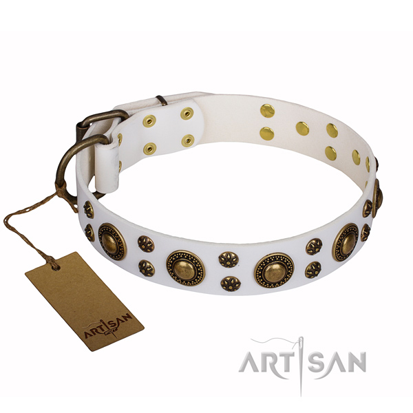 Walking full grain natural leather collar with adornments for your four-legged friend