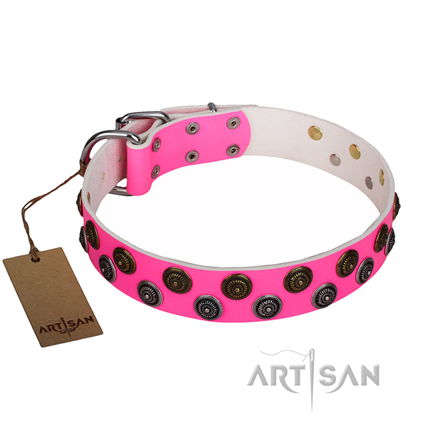 Unusual full grain genuine leather dog collar for daily walking