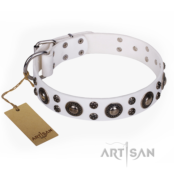 Incredible full grain genuine leather dog collar for daily walking