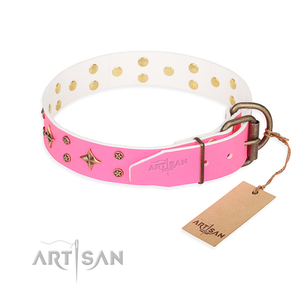 Daily use full grain natural leather collar with embellishments for your dog