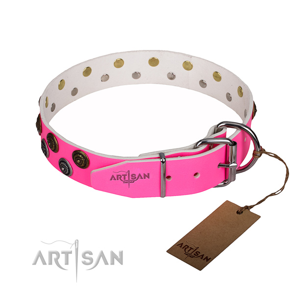 Walking leather collar with embellishments for your doggie
