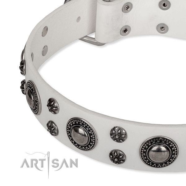 Stylish walking natural genuine leather collar with rust-proof buckle and D-ring