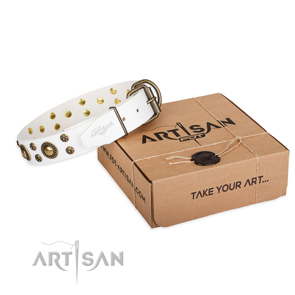 Full grain leather dog collar with studs for handy use