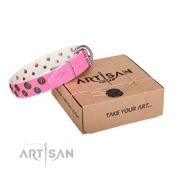 Adorned genuine leather dog collar for daily walking