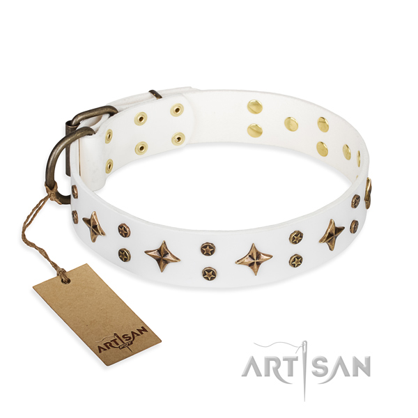 Trendy full grain leather dog collar for everyday walking