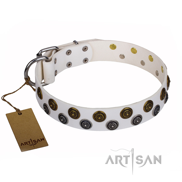 Remarkable natural genuine leather dog collar for stylish walking