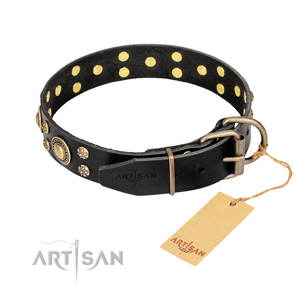 Daily walking leather collar with embellishments for your canine