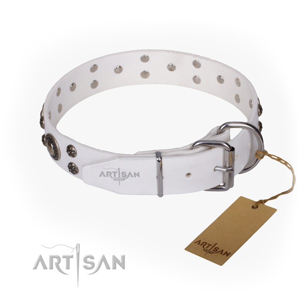 Walking genuine leather collar with adornments for your doggie