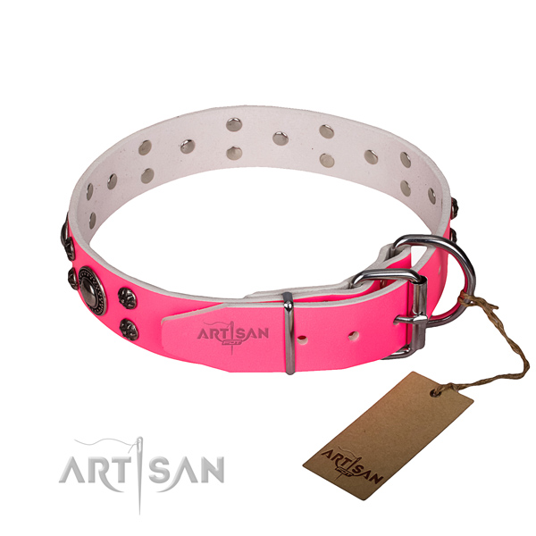 Walking leather collar with corrosion resistant buckle and D-ring