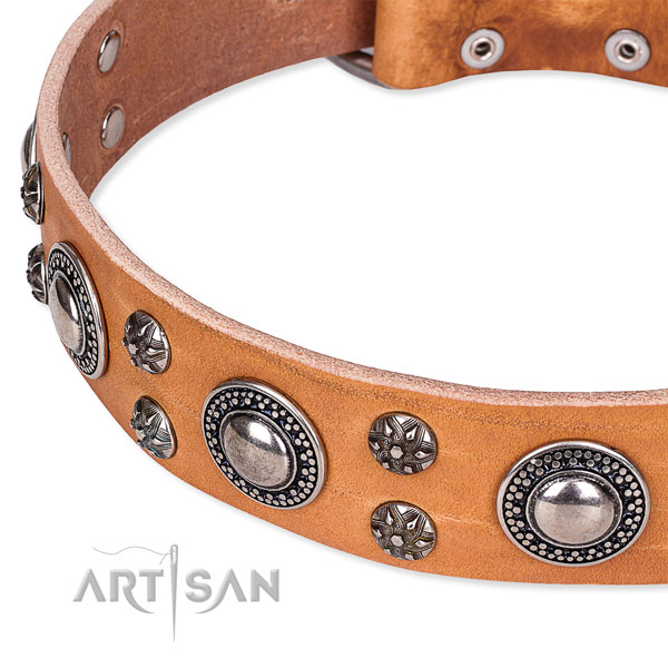 Handy use genuine leather collar with reliable buckle and D-ring