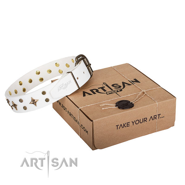 Embellished genuine leather dog collar for daily use