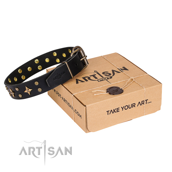 Decorated genuine leather dog collar for stylish walks
