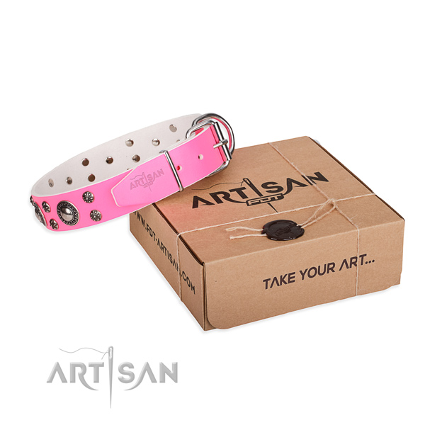 Impressive full grain genuine leather dog collar for daily walking