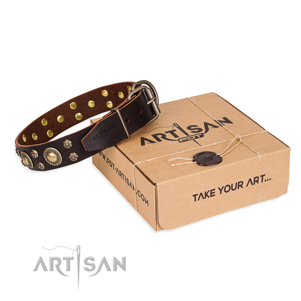 Top notch full grain leather dog collar for walking