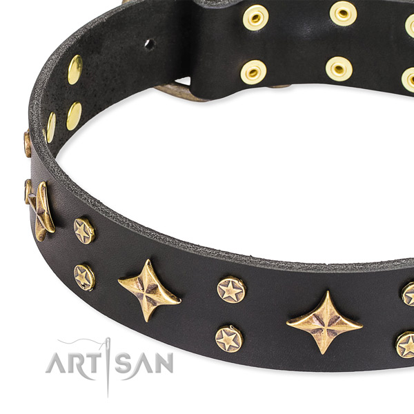 Full grain leather dog collar with exquisite embellishments