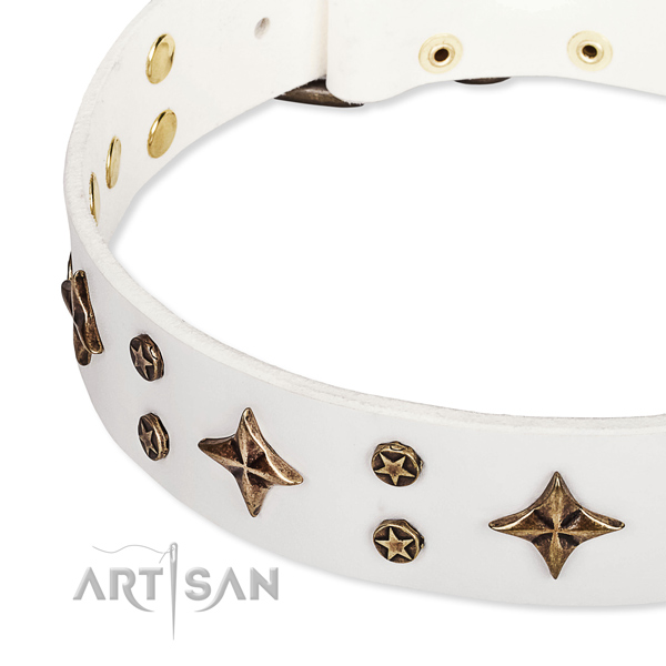 Full grain natural leather dog collar with fashionable decorations