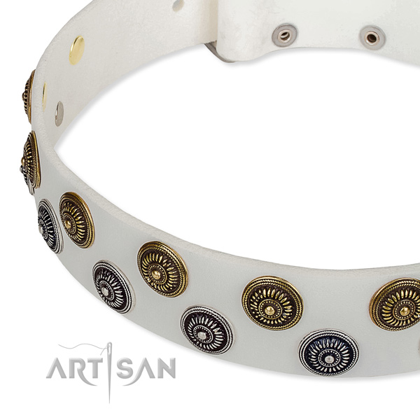 Full grain leather dog collar with impressive studs