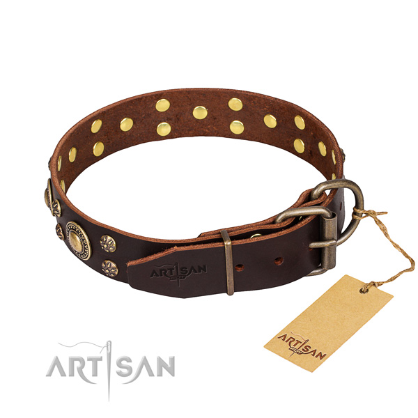 Daily walking full grain natural leather collar with studs for your canine