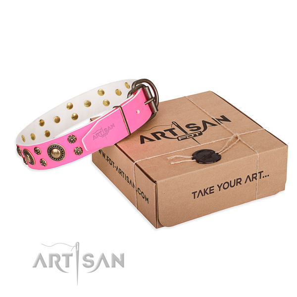 Full grain leather dog collar with embellishments for everyday walking