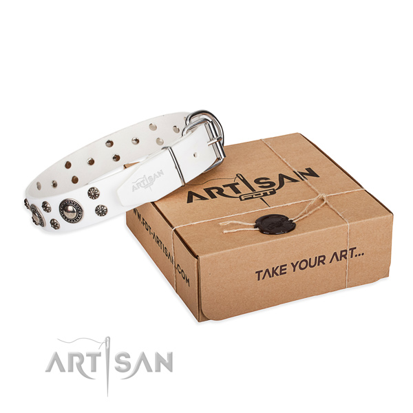 Stylish design leather dog collar for walking