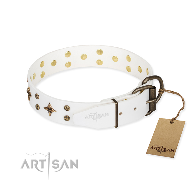 Everyday use genuine leather collar with embellishments for your dog