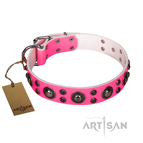 Impressive leather dog collar for stylish walking