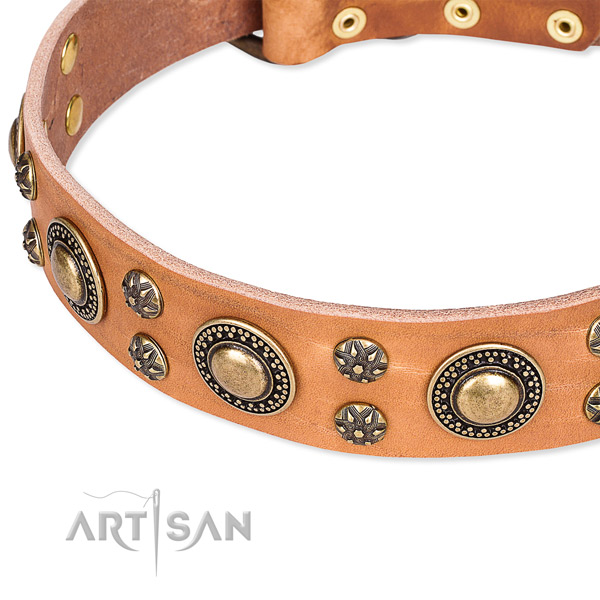 Leather dog collar with significant adornments