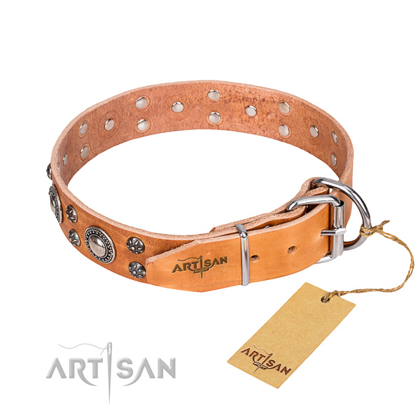 Handy use leather collar with adornments for your dog